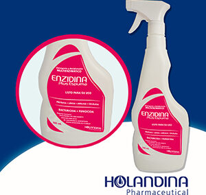 Enzidina Plus Espuma 700 mL